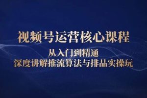 视频号运营核心课程，从入门到精通，深度讲解推流算法与排品实操玩