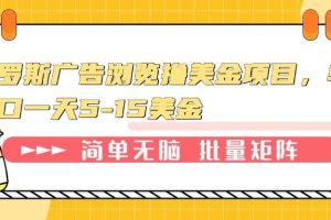 俄罗斯广告浏览撸美金项目，单窗口一天5-15美金