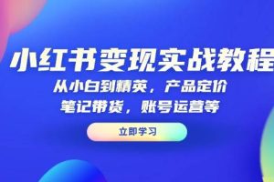 小红书变现实战教程：从小白到精英，产品定价，笔记带货，账号运营等