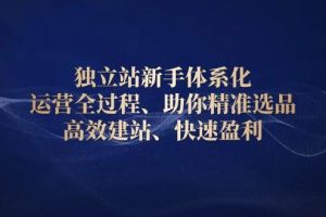 独立站新手体系化 运营全过程，助你精准选品、高效建站、快速盈利