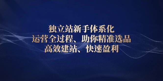 独立站新手体系化 运营全过程，助你精准选品、高效建站、快速盈利插图