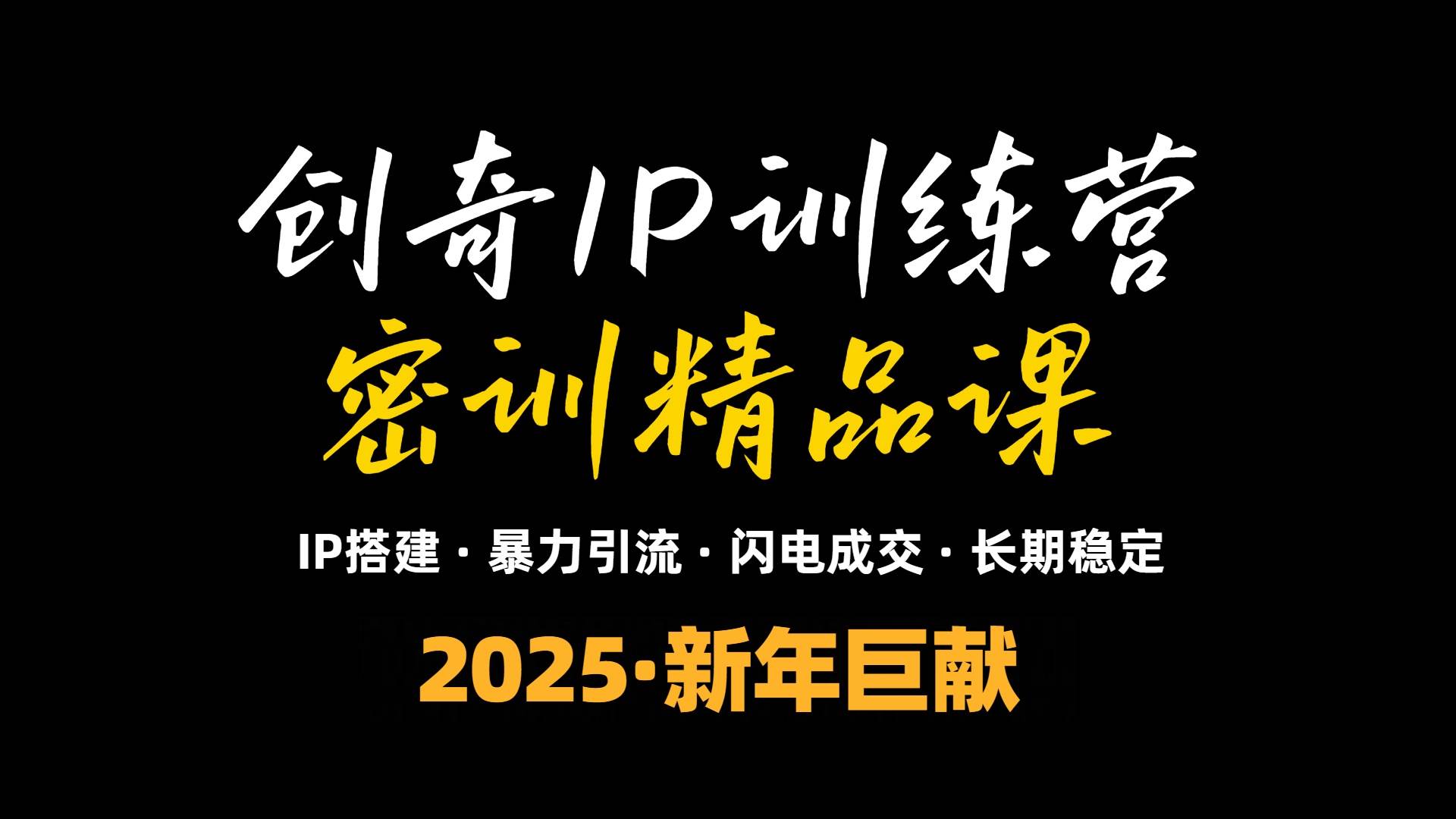 2025年“知识付费IP训练营”小白避坑年赚百万，暴力引流，闪电成交插图